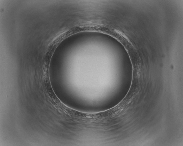 X0000067861350200604131306