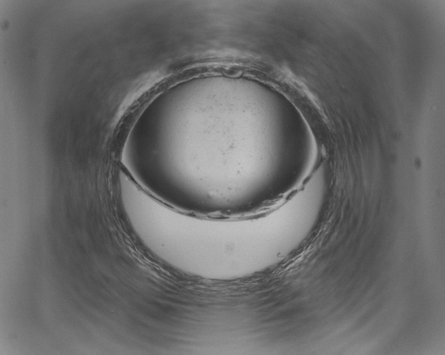 X0000067861352200604131306