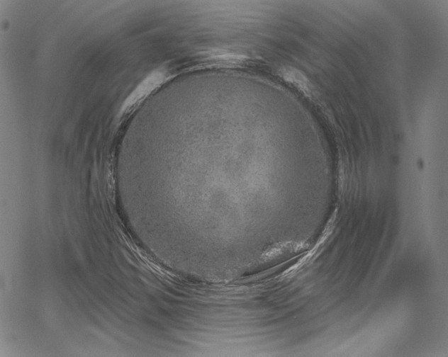 X0000067861354200604131306