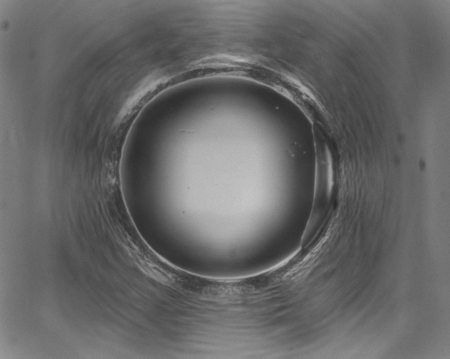 X0000067861355200604131306