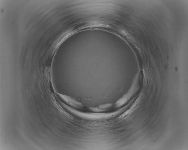 X0000067861369200604131305