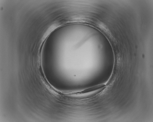 X0000067861370200604131305