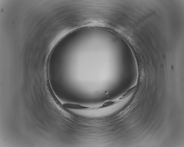 X0000067861375200604131305