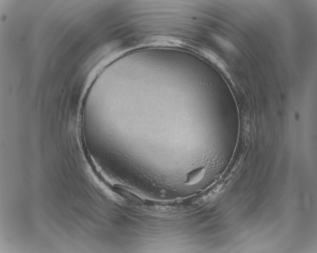 X0000067861379200604131305
