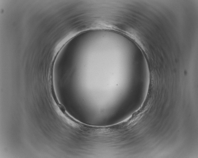 X0000067861387200604131305