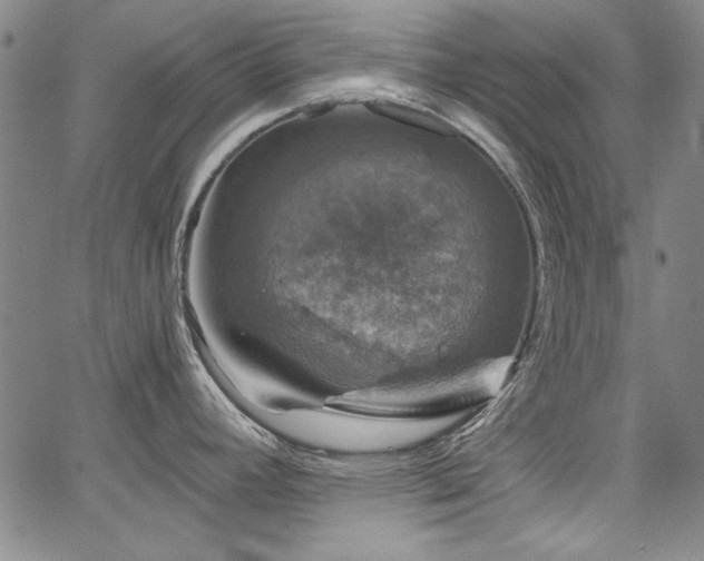 X0000067861392200604131305