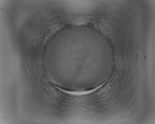 X0000067861393200604131304
