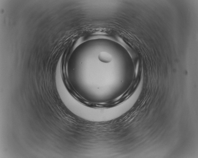 X0000067861394200604131304