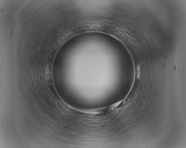 X0000067861395200604131304
