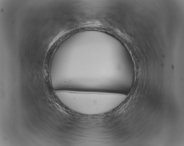 X0000067861400200604131304
