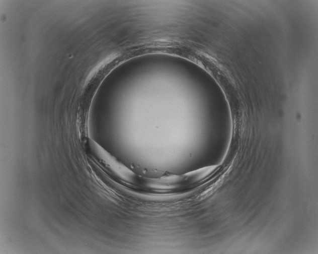 X0000067861402200604131304