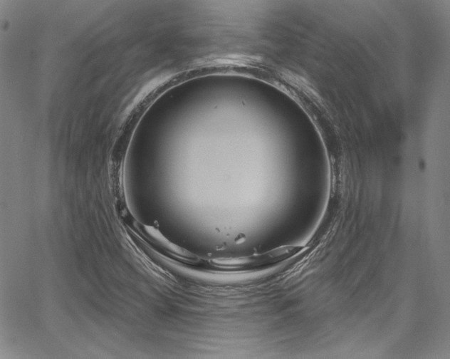 X0000067861404200604131304