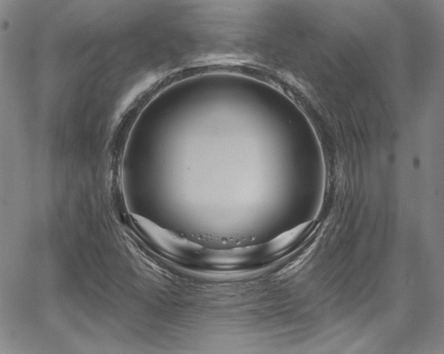 X0000067861406200604131304