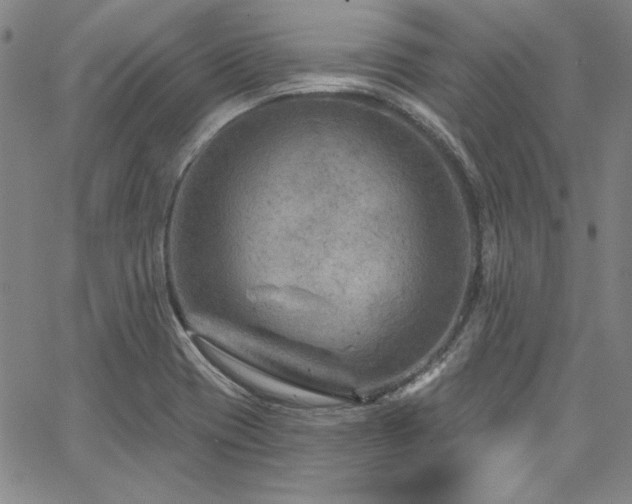 X0000067861417200604131305