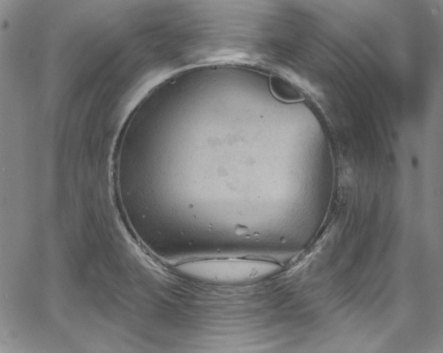 X0000067861423200604131305