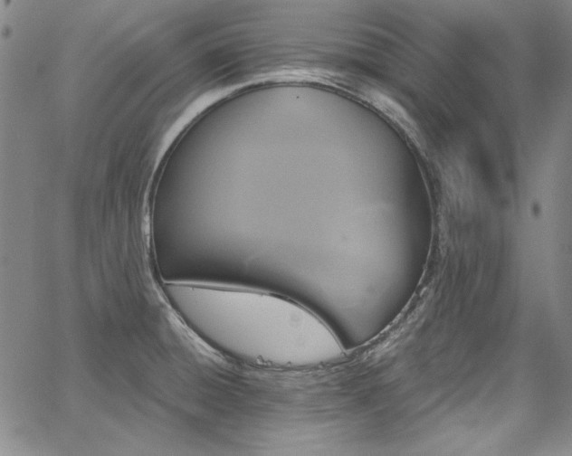X0000067861428200604131305