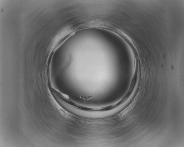 X0000067861434200604131305