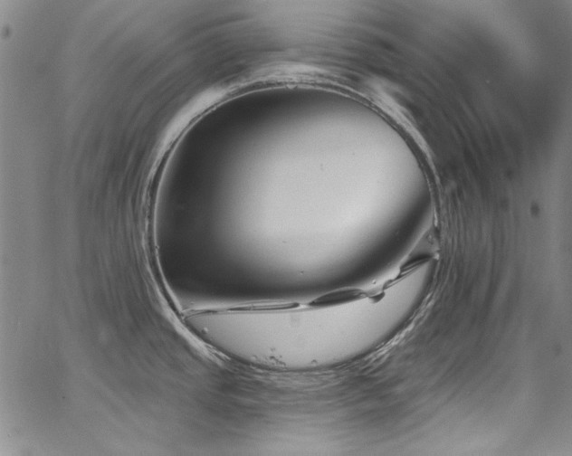 X0000067861437200604131305