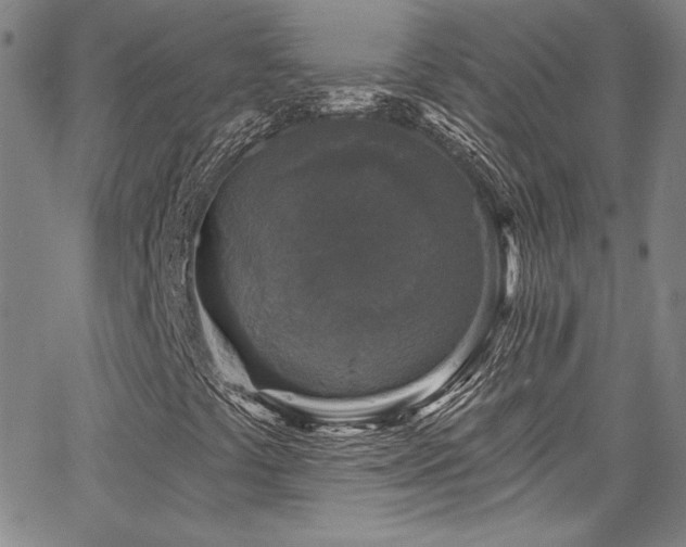 X0000067861441200604131304