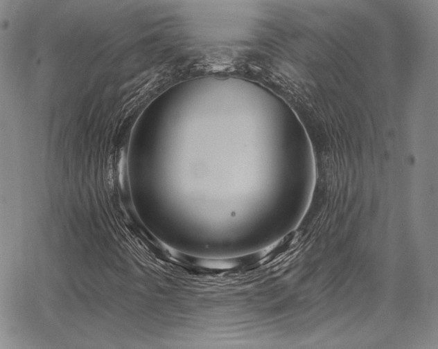 X0000067861442200604131304