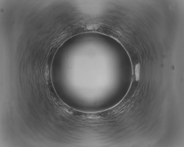 X0000067861443200604131304