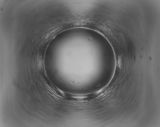 X0000067861444200604131304
