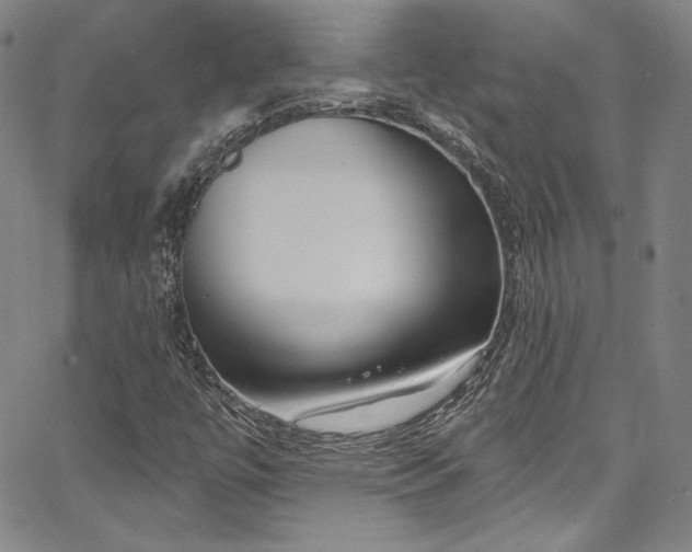 X0000067861447200604131304