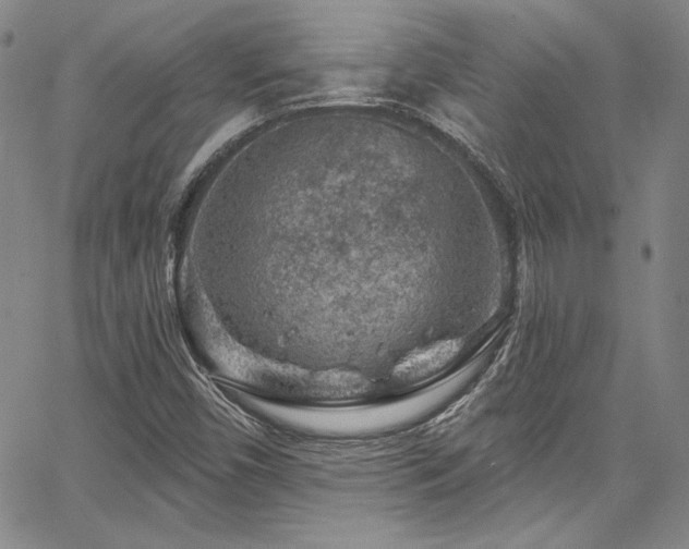 X0000067861450200604131304