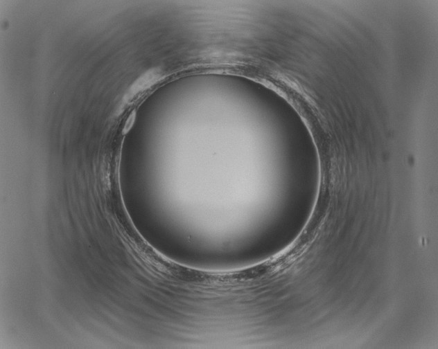 X0000067861451200604131304