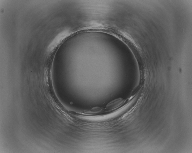 X0000067861455200604131304