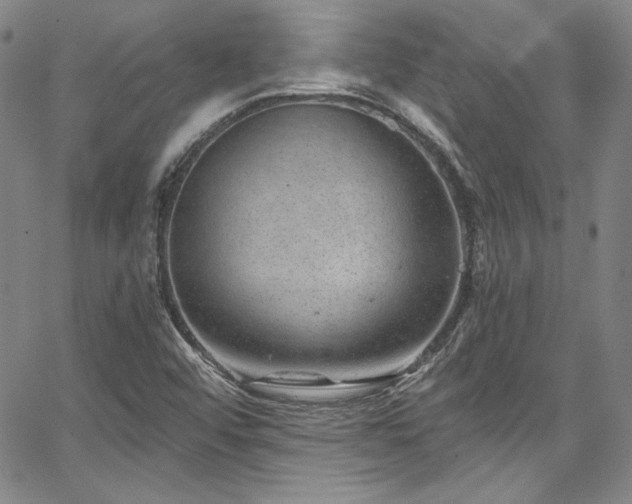 X0000067861456200604131304
