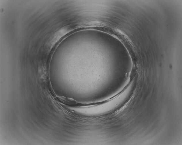 X0000067861457200604131304
