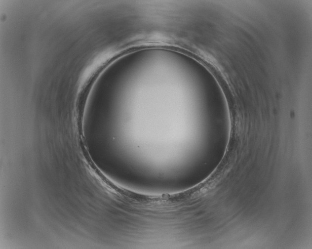 X0000067861464200604131304