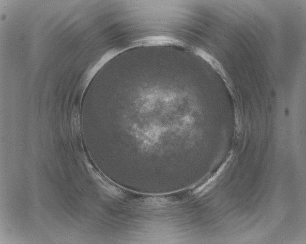 X0000067861473200604131304