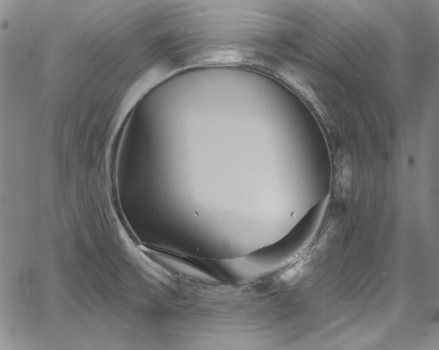 X0000067861475200604131304