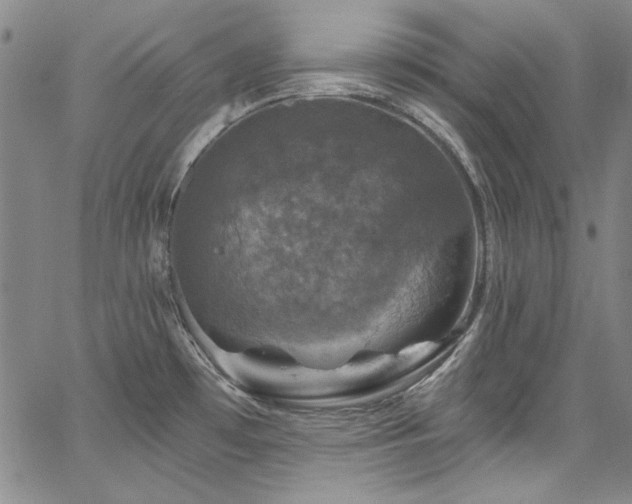 X0000067861481200604131304