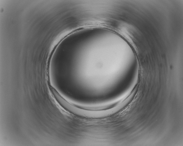 X0000067861485200604131303