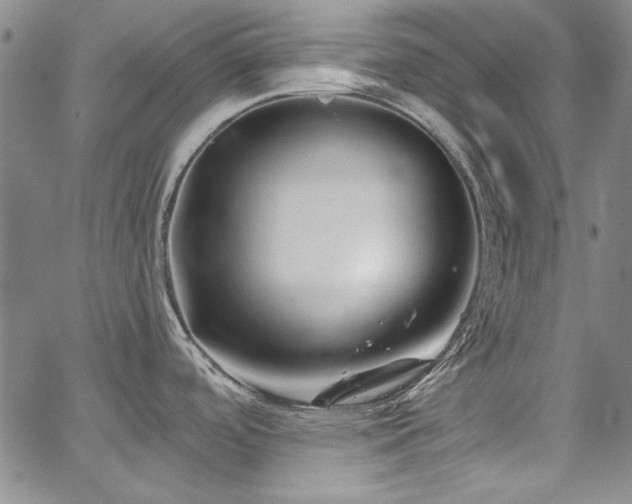 X0000067861488200604131303