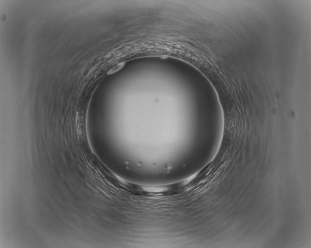 X0000067861490200604131303