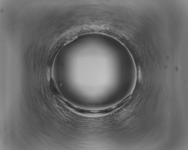 X0000067861492200604131303