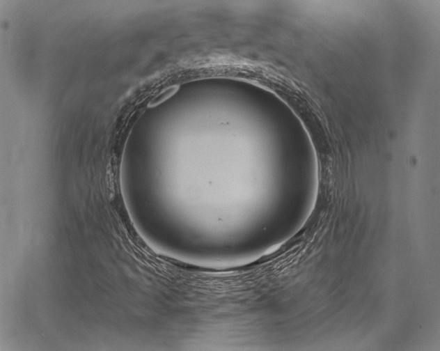 X0000067861493200604131303