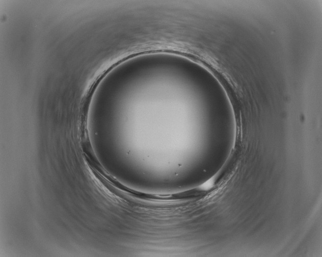 X0000067861500200604131303