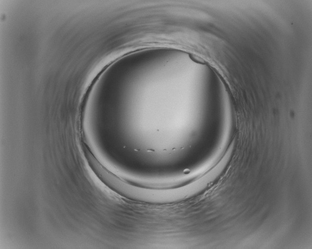 X0000067861531200604131303