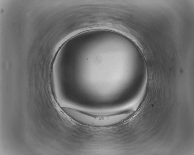 X0000067861534200604131303
