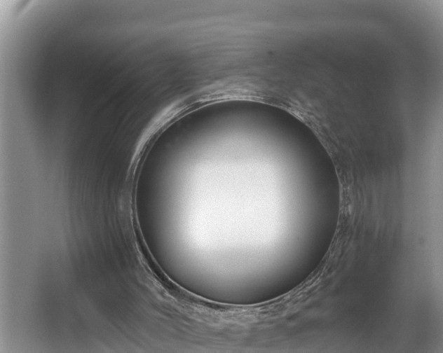 X0000067860004200604171302