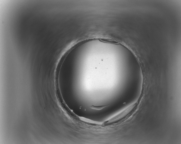 X0000067860008200604171302