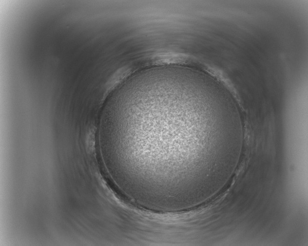 X0000067860010200604171302