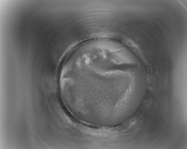 X0000067860012200604171302