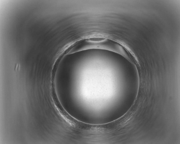 X0000067860437200604171254
