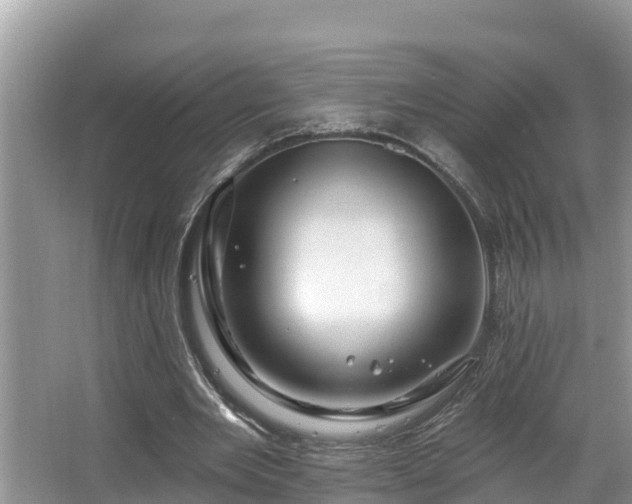 X0000067860485200604171254